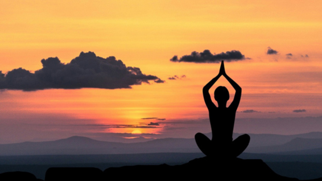 The Diverse Psychological Services of Wellness Centers to Nurture Minds
