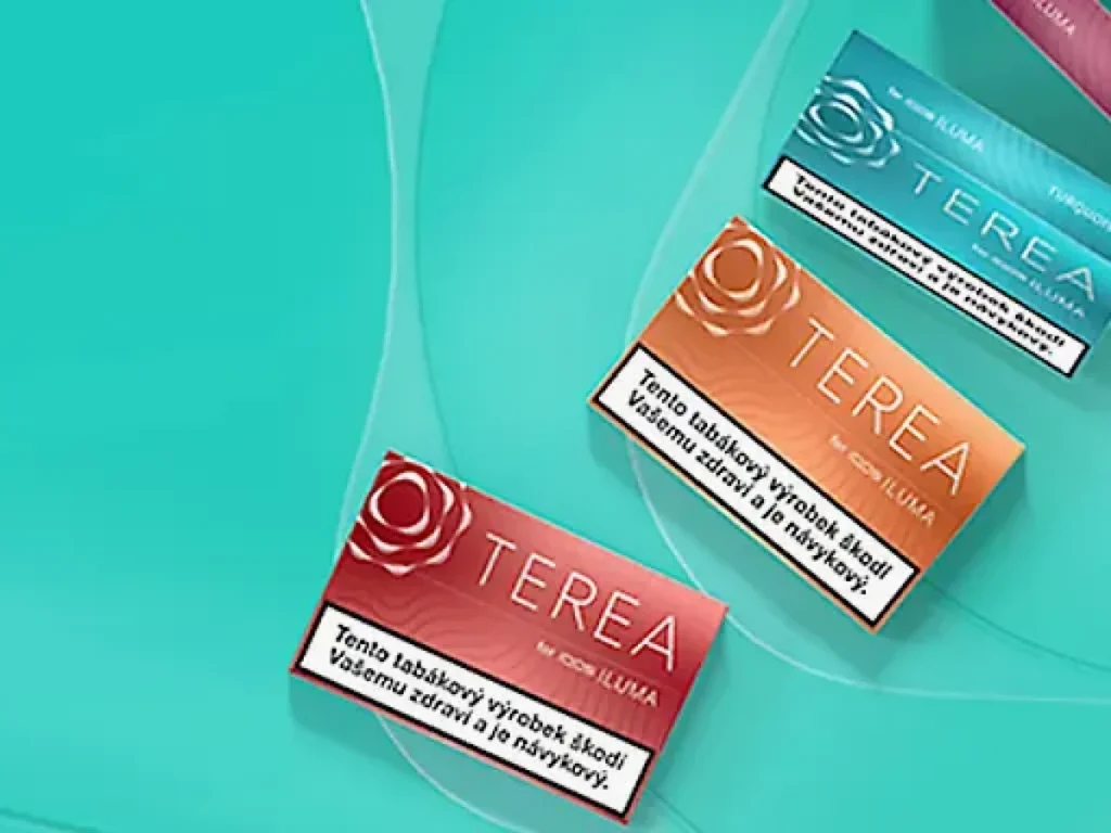 TEREA Mint and TEREA Warm Regular: Your New Go-To Fonts for Modern Designs